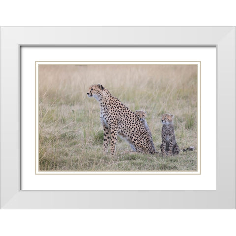 I Love My Mum White Modern Wood Framed Art Print with Double Matting by Doyle, Renee