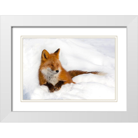 Enjoyment White Modern Wood Framed Art Print with Double Matting by Budkov, Denis