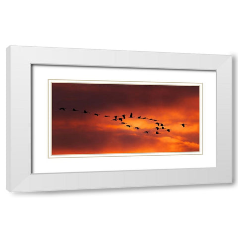 Lord Of The Ring White Modern Wood Framed Art Print with Double Matting by Xiao, Hanping