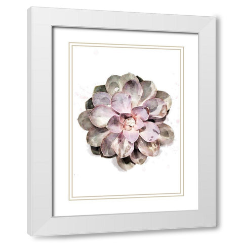 Succulent 01 White Modern Wood Framed Art Print with Double Matting by 1x Studio II