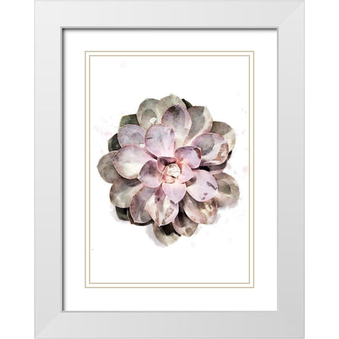 Succulent 01 White Modern Wood Framed Art Print with Double Matting by 1x Studio II