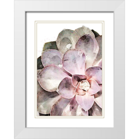 Succulent Close-up White Modern Wood Framed Art Print with Double Matting by 1x Studio II