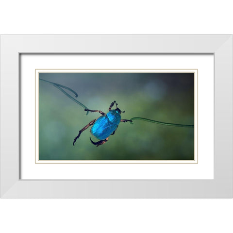 The Acrobat White Modern Wood Framed Art Print with Double Matting by Hoffman, Jimmy