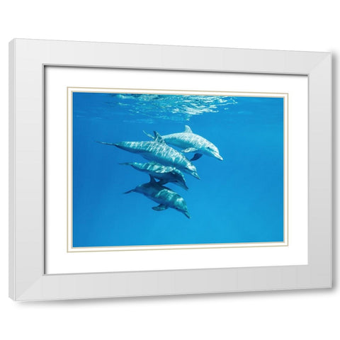 Familly White Modern Wood Framed Art Print with Double Matting by Melesan, Serge