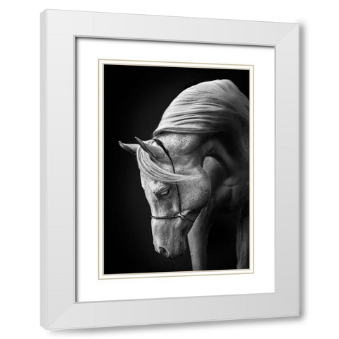 White Stallion White Modern Wood Framed Art Print with Double Matting by Leinemann, Ulrike