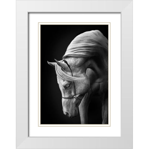 White Stallion White Modern Wood Framed Art Print with Double Matting by Leinemann, Ulrike