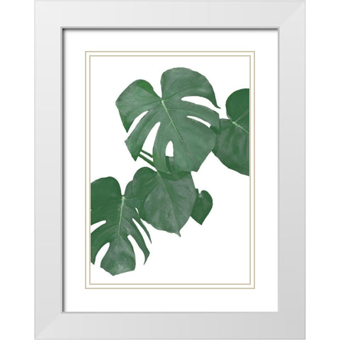Monstera Aqua 01 White Modern Wood Framed Art Print with Double Matting by 1x Studio II