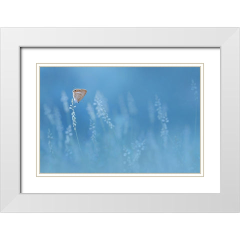 Blues White Modern Wood Framed Art Print with Double Matting by Pamungkas, Edy