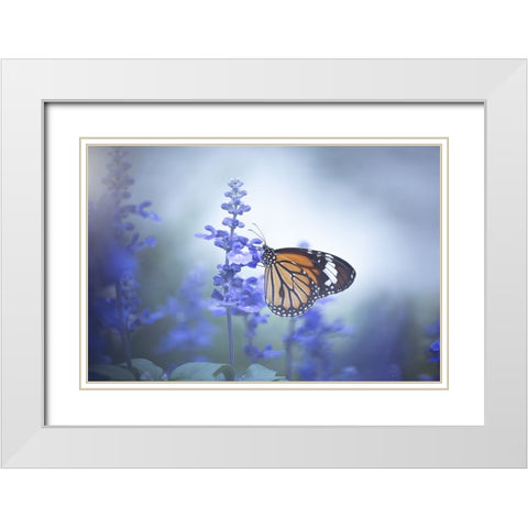 Butterfly White Modern Wood Framed Art Print with Double Matting by Li, Wang