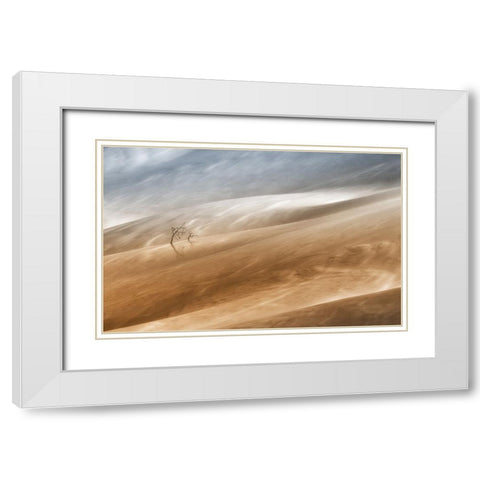 Two Trees White Modern Wood Framed Art Print with Double Matting by Hermann, Uschi