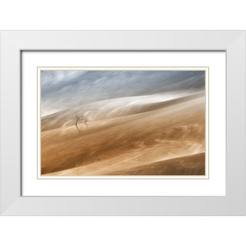 Two Trees White Modern Wood Framed Art Print with Double Matting by Hermann, Uschi