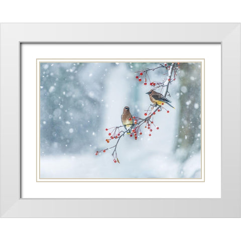 Colors Of Winter White Modern Wood Framed Art Print with Double Matting by Chen, Hong