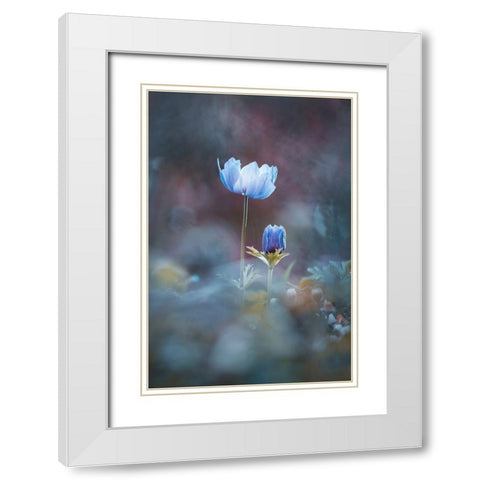 Growing Up White Modern Wood Framed Art Print with Double Matting by BRAVIN, Fabien