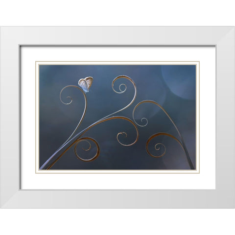 Curve White Modern Wood Framed Art Print with Double Matting by Pamungkas, Edy