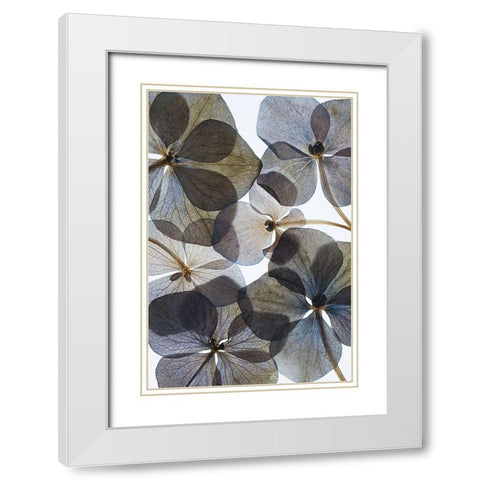 Botanical #21 White Modern Wood Framed Art Print with Double Matting by Lenka