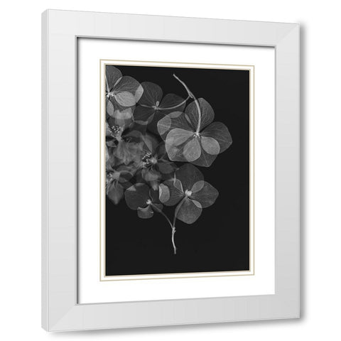Botanical 25 White Modern Wood Framed Art Print with Double Matting by Lenka