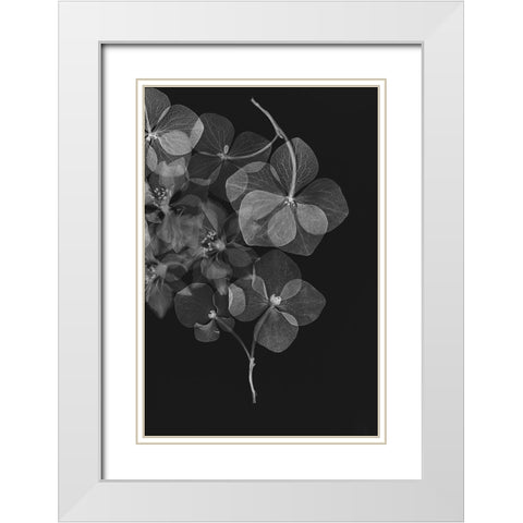 Botanical 25 White Modern Wood Framed Art Print with Double Matting by Lenka