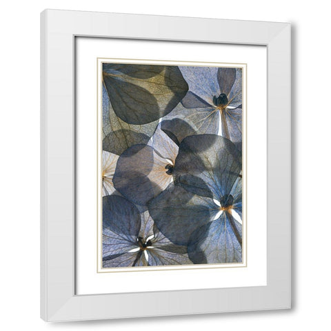 Botanical #26 White Modern Wood Framed Art Print with Double Matting by Lenka