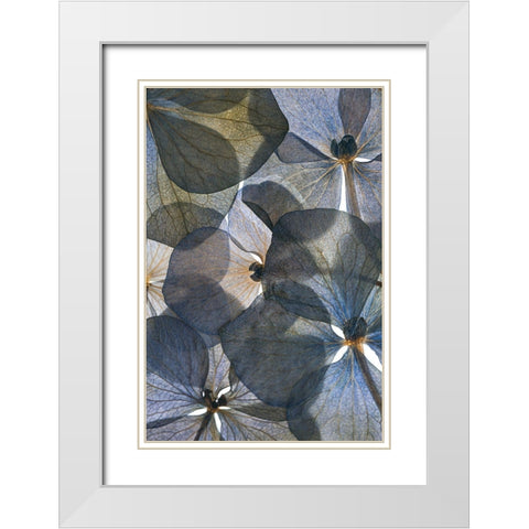Botanical #26 White Modern Wood Framed Art Print with Double Matting by Lenka