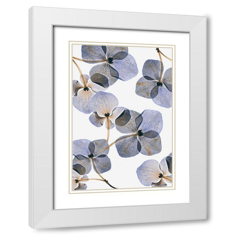 Botanical #37 White Modern Wood Framed Art Print with Double Matting by Lenka