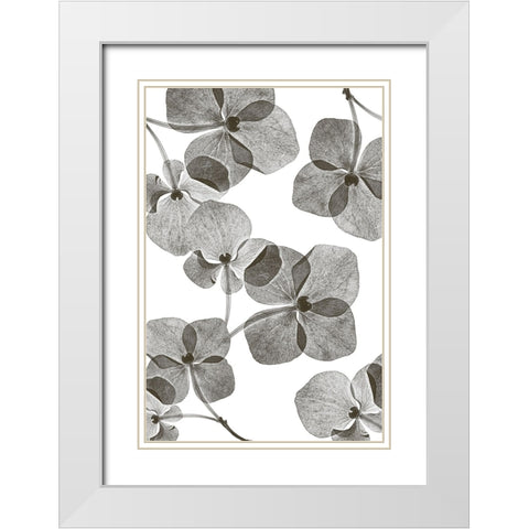 Botanical 39 White Modern Wood Framed Art Print with Double Matting by Lenka