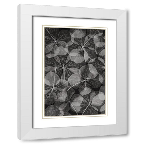 Botanical 48 White Modern Wood Framed Art Print with Double Matting by Lenka