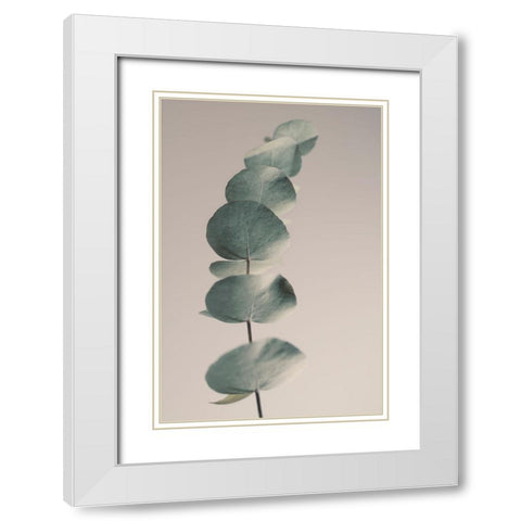 Fragrant Leaves Ll White Modern Wood Framed Art Print with Double Matting by Westum, Heidi