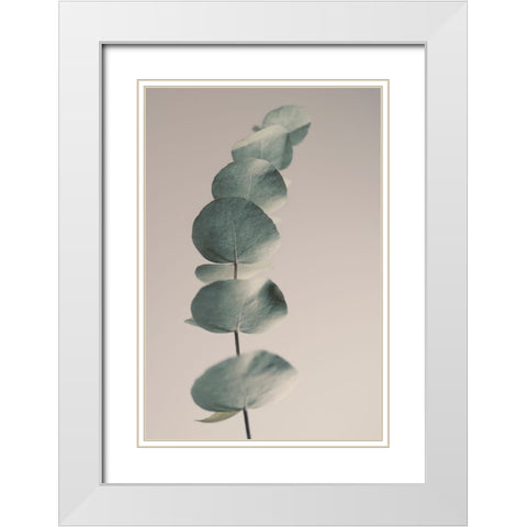 Fragrant Leaves Ll White Modern Wood Framed Art Print with Double Matting by Westum, Heidi