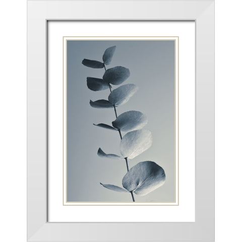Fragrant Leaves White Modern Wood Framed Art Print with Double Matting by Westum, Heidi