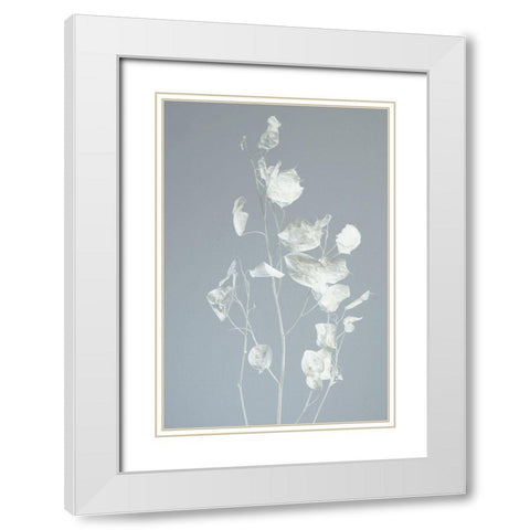 Tired White Modern Wood Framed Art Print with Double Matting by Westum, Heidi