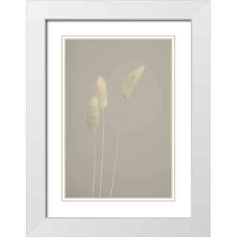Pale Trio White Modern Wood Framed Art Print with Double Matting by Westum, Heidi