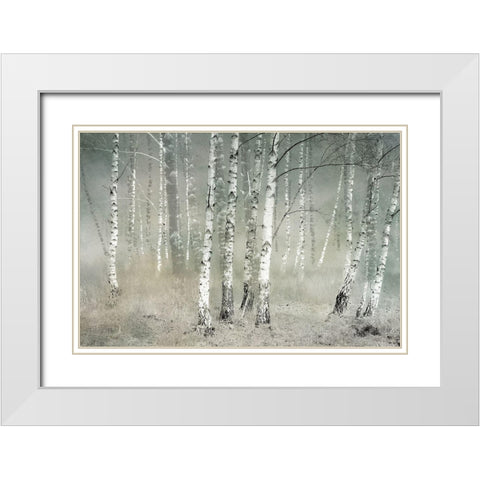 Morning Silence White Modern Wood Framed Art Print with Double Matting by Talen, Nel