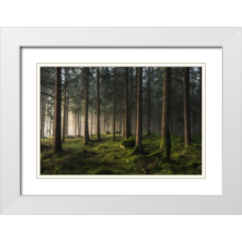 A Sense Of Spring White Modern Wood Framed Art Print with Double Matting by Pettersson, Benny