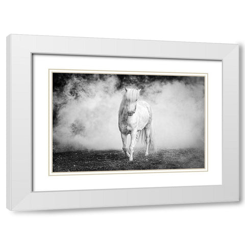 Icelandic Pony White Modern Wood Framed Art Print with Double Matting by C. Sink, Jeffrey