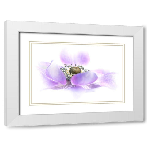 Voile White Modern Wood Framed Art Print with Double Matting by Parker, Jacky