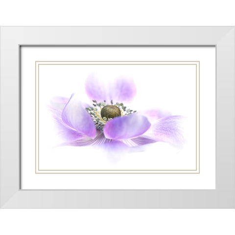 Voile White Modern Wood Framed Art Print with Double Matting by Parker, Jacky