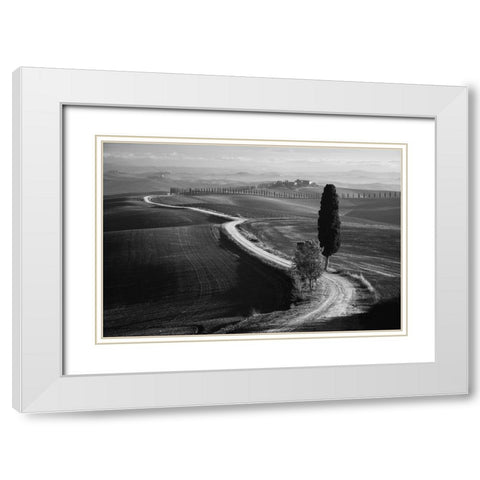 Morning In The Field White Modern Wood Framed Art Print with Double Matting by Anton, Rostovskiy
