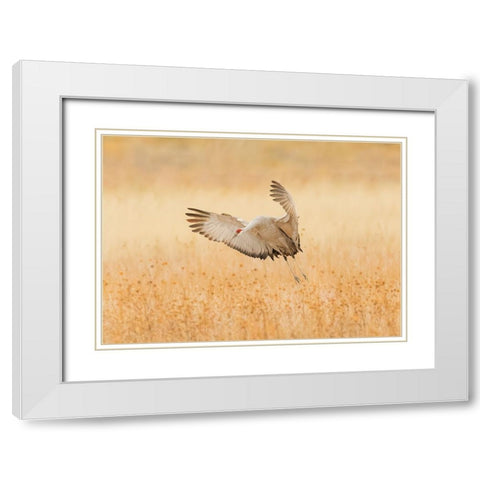 Untitled White Modern Wood Framed Art Print with Double Matting by Wang, Qingsong