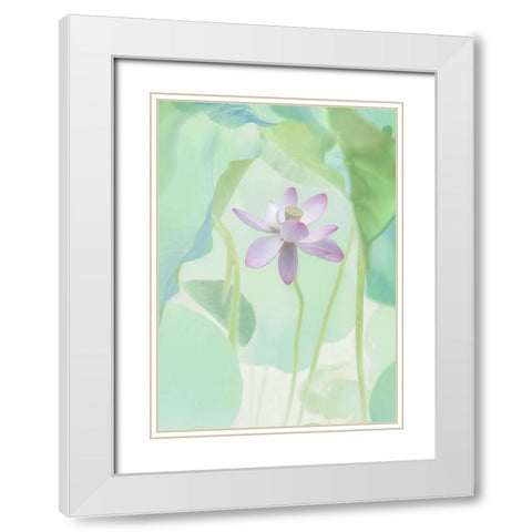 Lotus Flower White Modern Wood Framed Art Print with Double Matting by L., Binbin