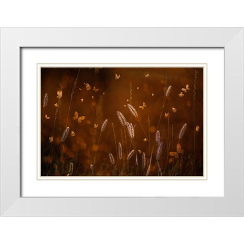Love Is In The Air White Modern Wood Framed Art Print with Double Matting by Kiral, Cicek