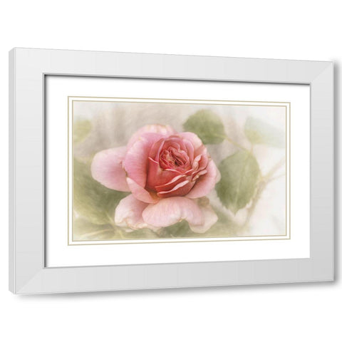 Smooth Rose White Modern Wood Framed Art Print with Double Matting by Claes, Gilbert