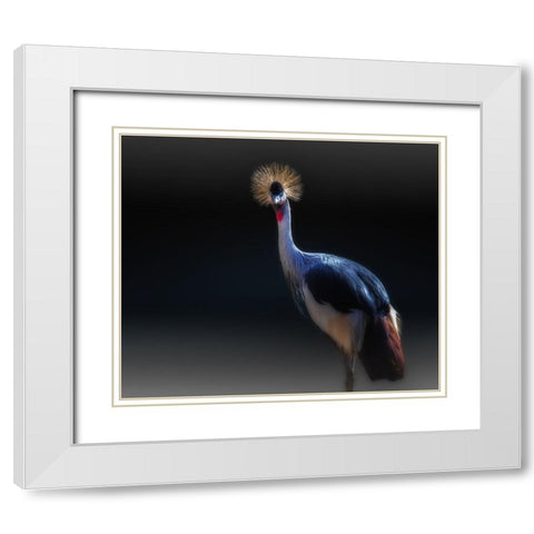 crane White Modern Wood Framed Art Print with Double Matting by Kamera