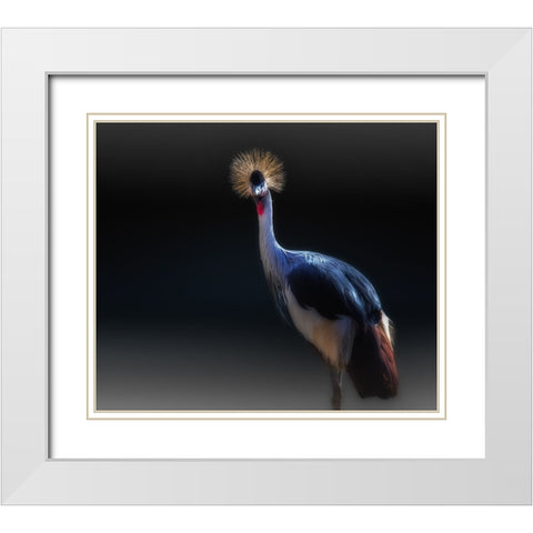 crane White Modern Wood Framed Art Print with Double Matting by Kamera