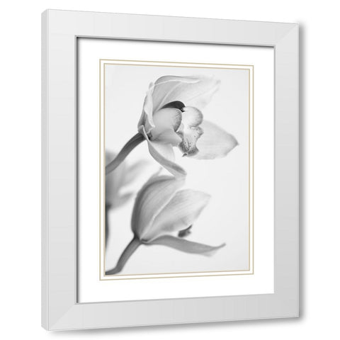 Orchid White Modern Wood Framed Art Print with Double Matting by Mandich, Igor