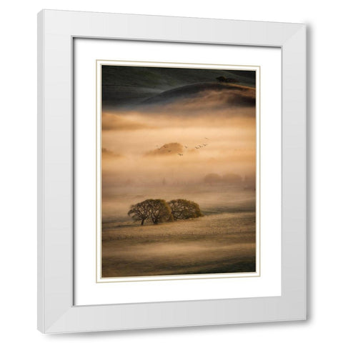 Morning Fog White Modern Wood Framed Art Print with Double Matting by Zheng, Michael
