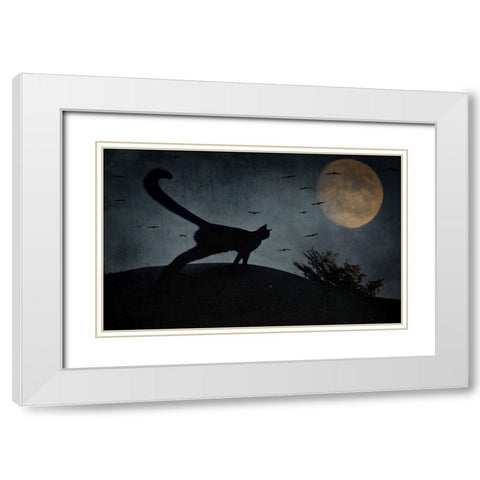 the curious tail of the cat filemon... White Modern Wood Framed Art Print with Double Matting by Fabrowski, Robert