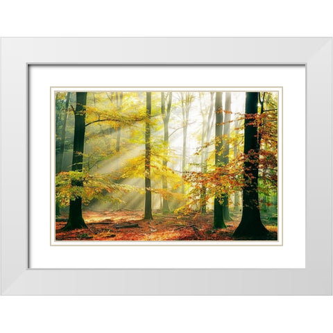 Sinfonia Della Foresta White Modern Wood Framed Art Print with Double Matting by Van De, Lars