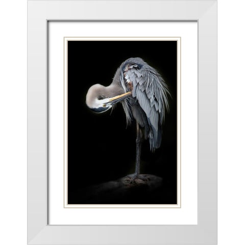 The Great Blue Heron White Modern Wood Framed Art Print with Double Matting by D Lester, Linda