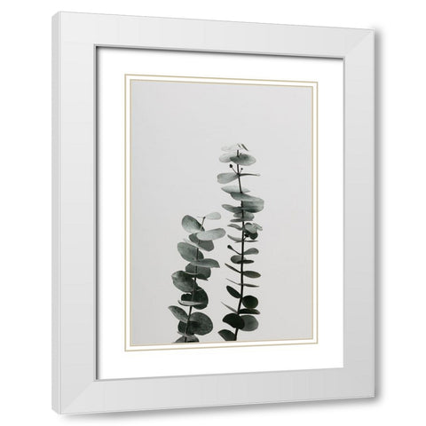 Eucalyptus Natural 03 White Modern Wood Framed Art Print with Double Matting by 1x Studio III