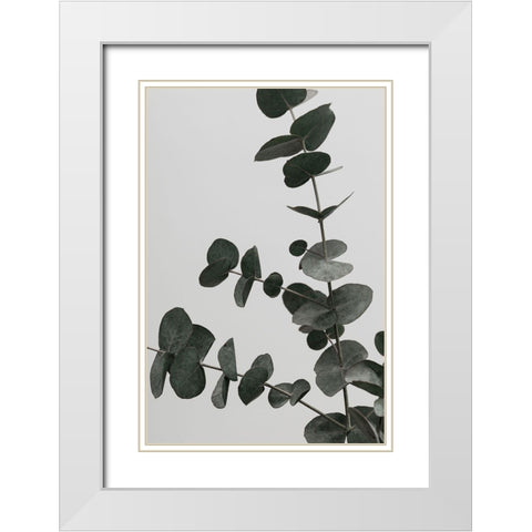 Eucalyptus Natural 05 White Modern Wood Framed Art Print with Double Matting by 1x Studio III
